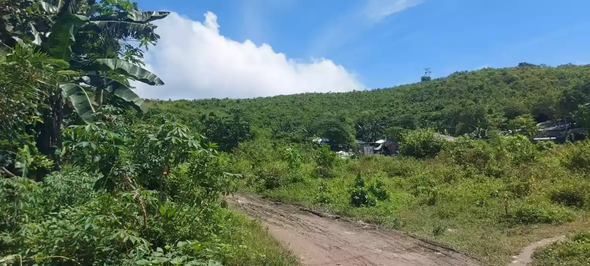 Lot for Sale - photo 3