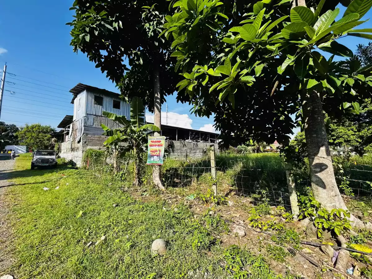 Residential Lot for Sale in Catalunan Pequeño — Residential Lot in Talomo, Davao City, Davao del Sur — Photo 4