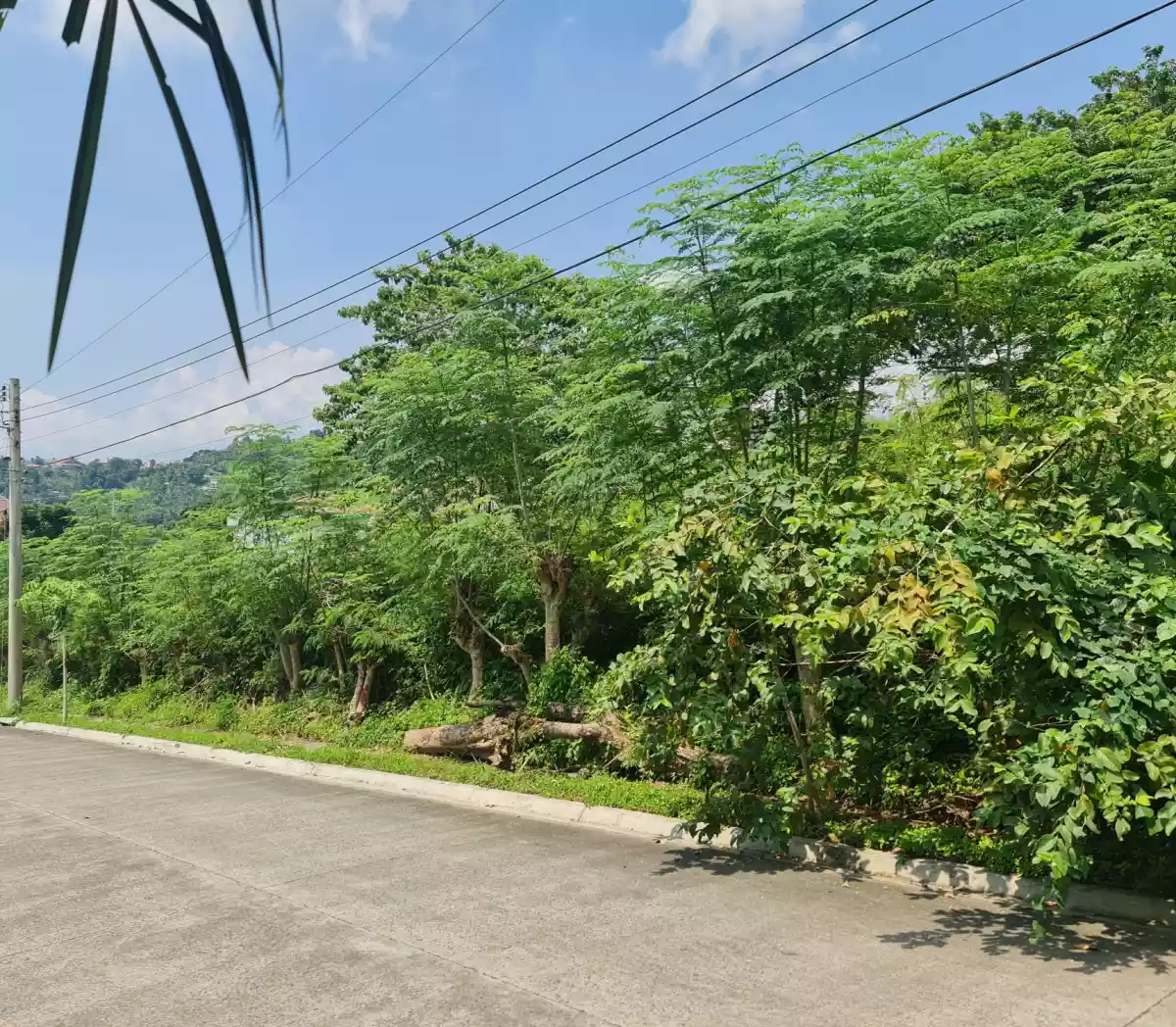Kishanta Lot for Sale — Residential Lot in Talisay, Cebu, Philippines — Photo 2