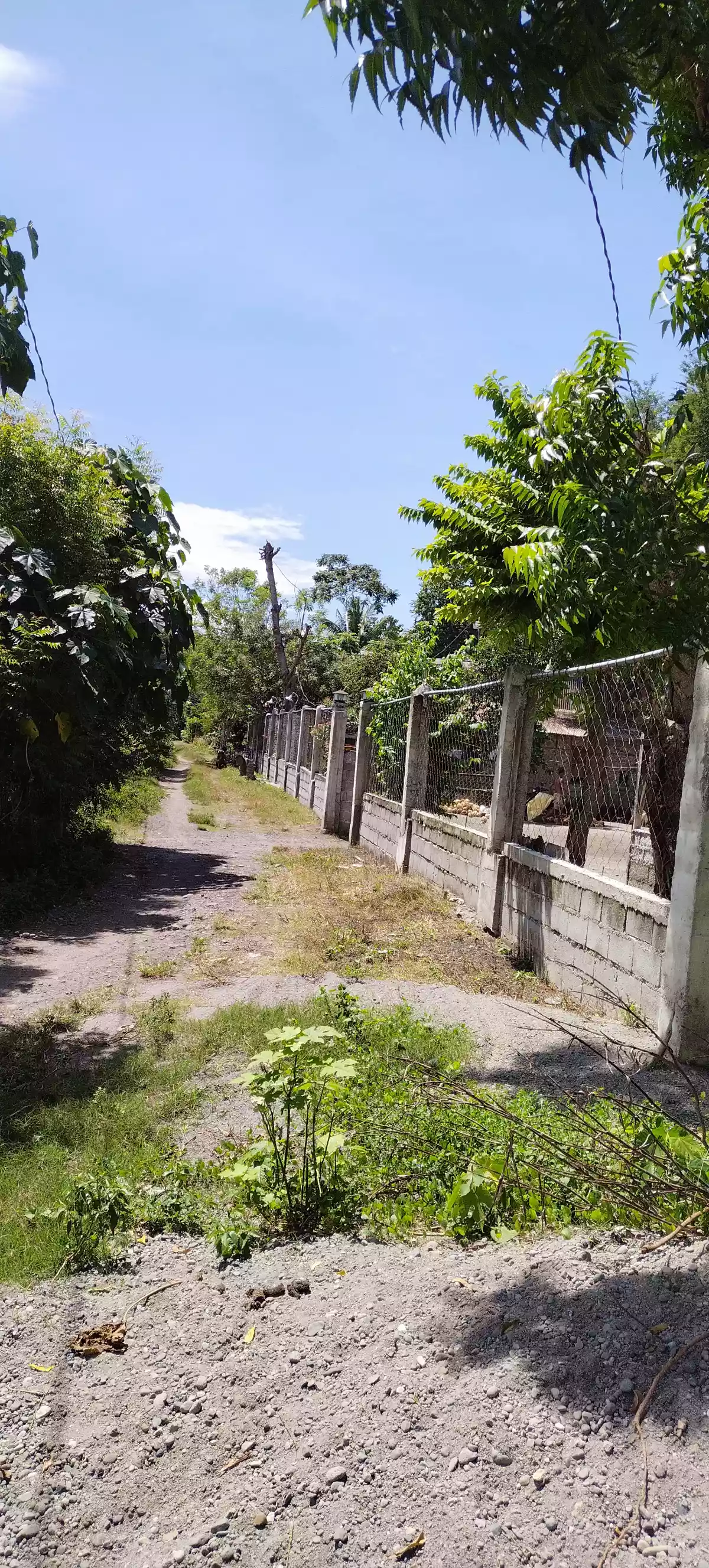 All in deal at tokawal - photo 2