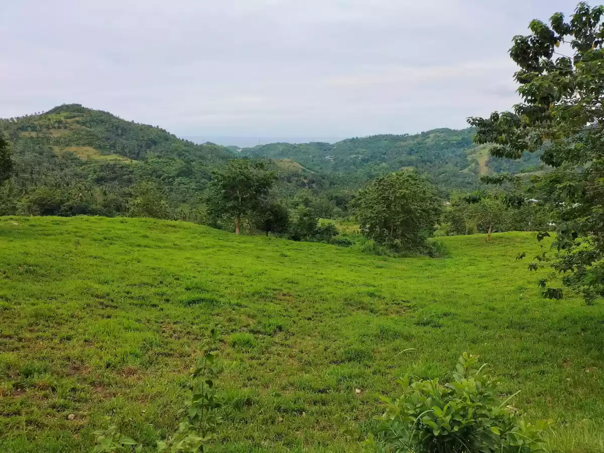 Affordable lot — Agricultural Lot in Carmen, Cebu, Philippines — Photo 4