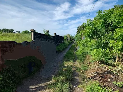 TCT