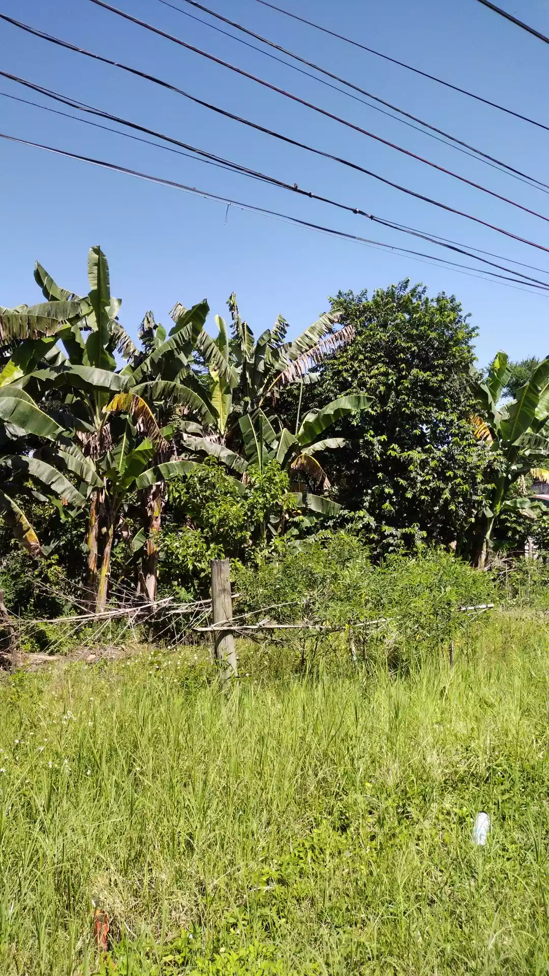 Along national highway polomolok - photo 4