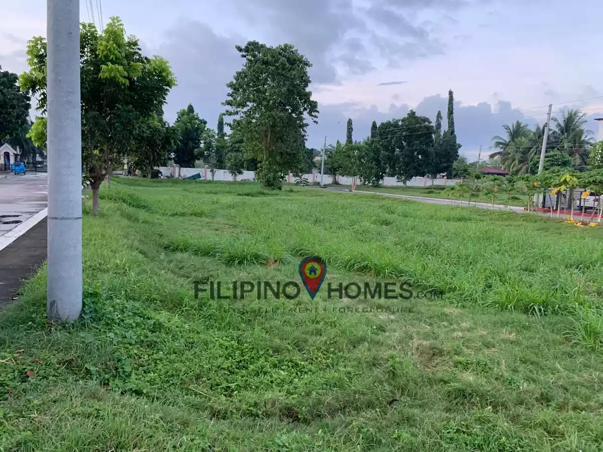 6 LOTS in COLINAS - photo 7