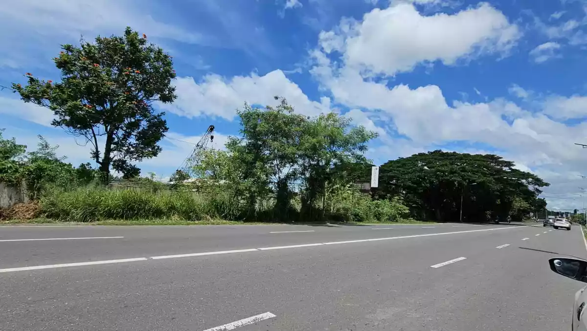 A GOOD DEAL LOT BESIDE CASA RUFINA SOUTH IS FOR SALE!!! — Industrial Lot in UYGEPA CORPORATION Depot, Negros South Road, Bago — Photo 3