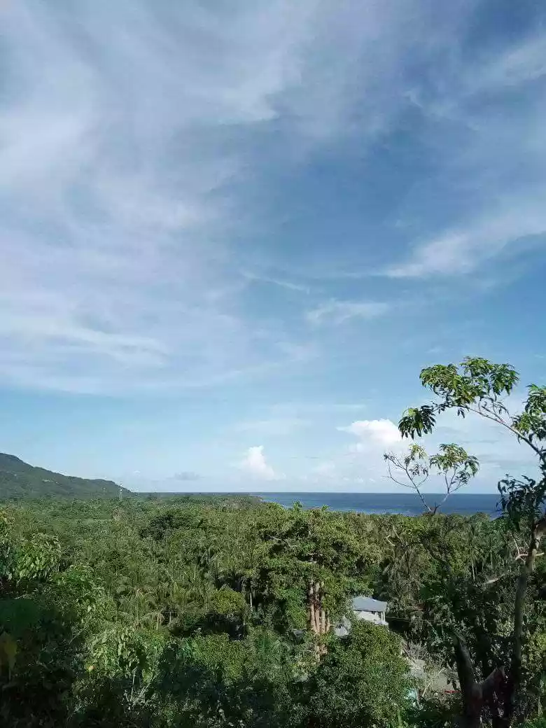 LOT FOR SALE IN IPO, CANDABONG, ANDA, BOHOL