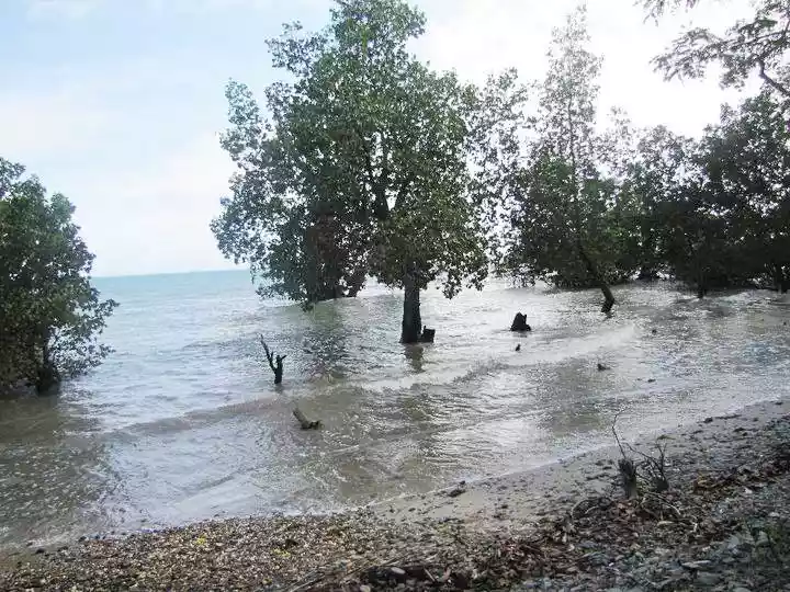 1 Hectare Beachfront Property for sale in San Rafael, Puerto Princesa City, Palawan — Beach Lot in Barangay San Miguel, Puerto Princesa, Palawan — Photo 5
