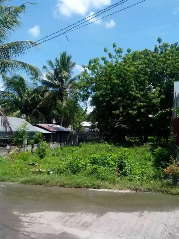 Rush! 250 sqm lot for sale — Residential Lot in South Cotabato, Philippines — Photo 2