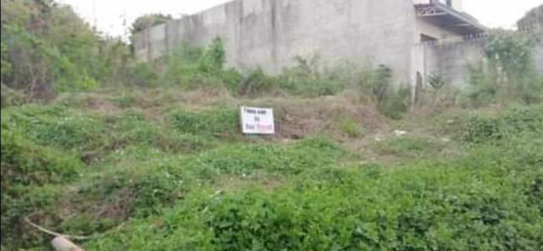 Mandaue Residential Lot for rent - photo 3