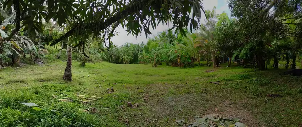 Agricultural Lot For Sale — Agricultural Lot in Cebu, Philippines — Photo 7