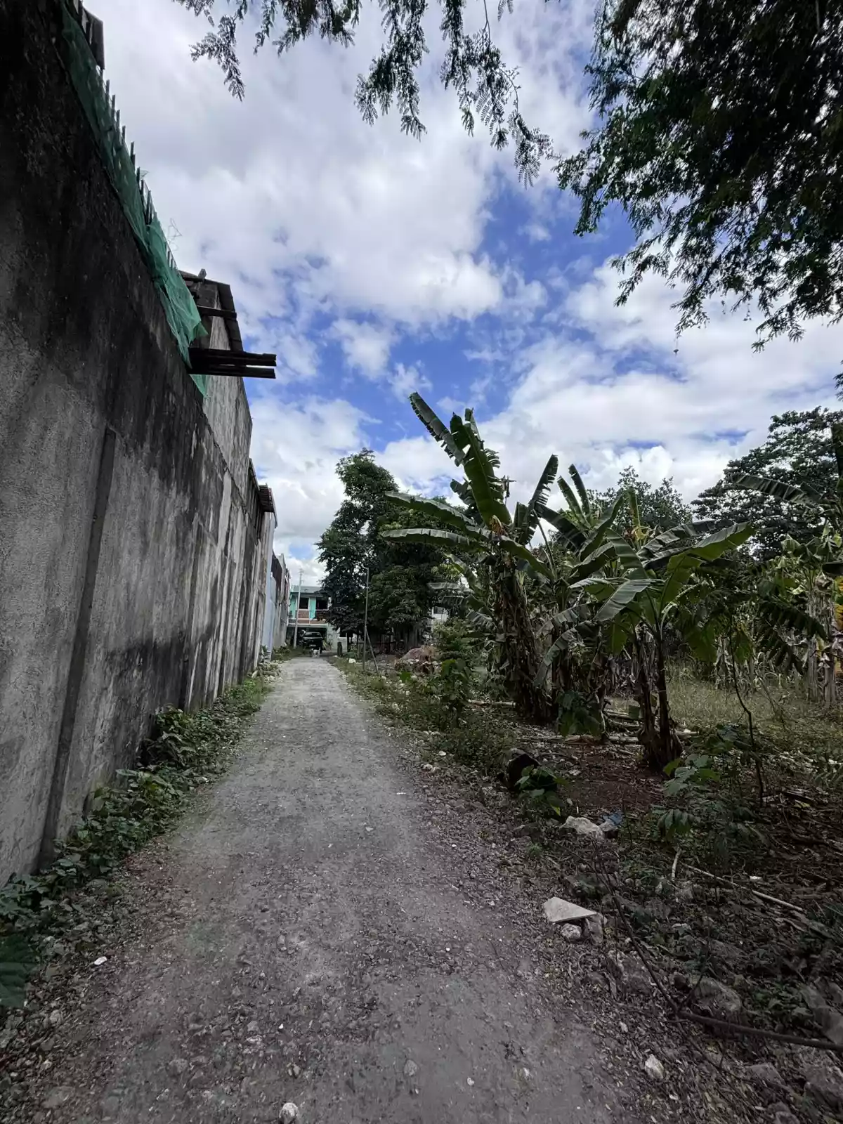 TITLED LOT FOR SALE in Biasong Talisay  - photo 3