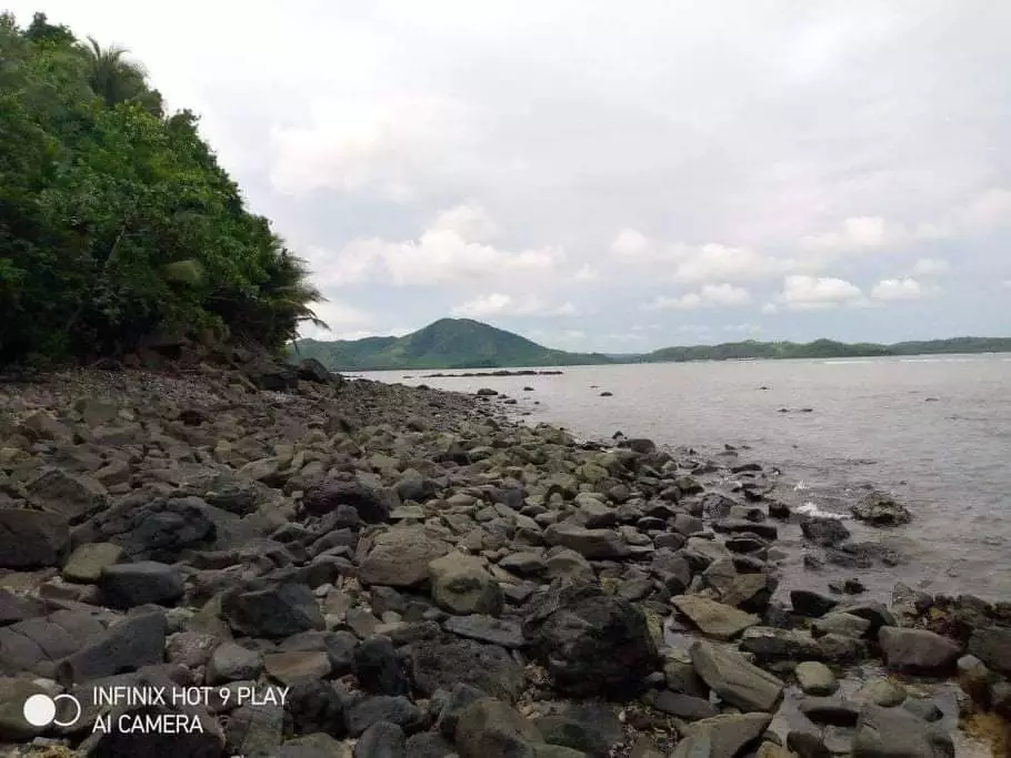 BEACHFRONT LOT FOR SALE IN SOCORRO, SIARGAO ISLANDS - photo 2