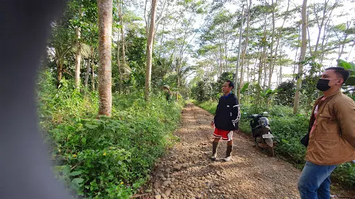 FARM LOT WITH FALCATA DURIAN MANGOSTEEN — Agricultural Lot in Claveria, Misamis Oriental, Philippines — Photo 7