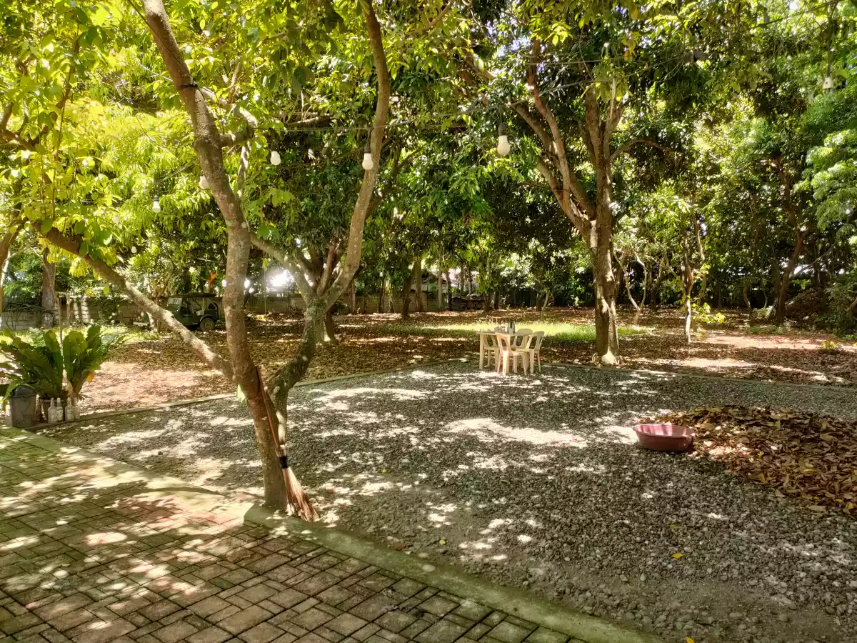 Open photo 19 of 22 — Lot for Sale with Bachelors Pad in Talay Dumaguete City