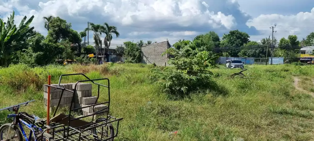 COMMERCIAL PROPERTY FOR SALE IN TALISAY CITY - photo 4