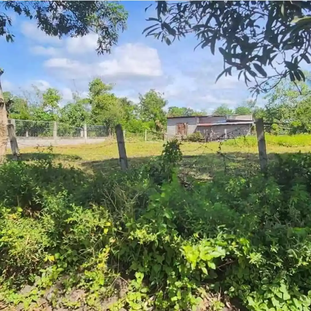 Lot for Sale in Purok Malinawon, Conel, General Santos City - photo 2