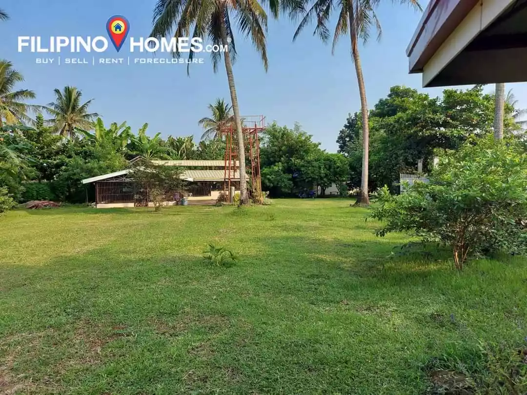 Farm Lot for Sale - photo 2