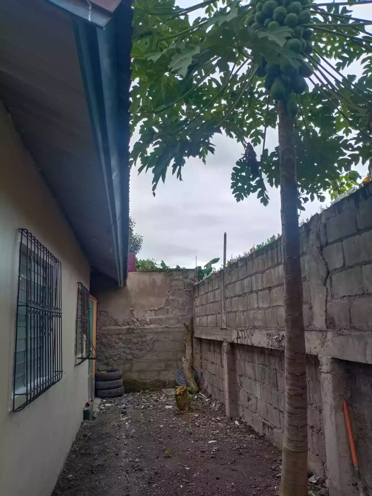 Single HouseðŸ  - photo 3