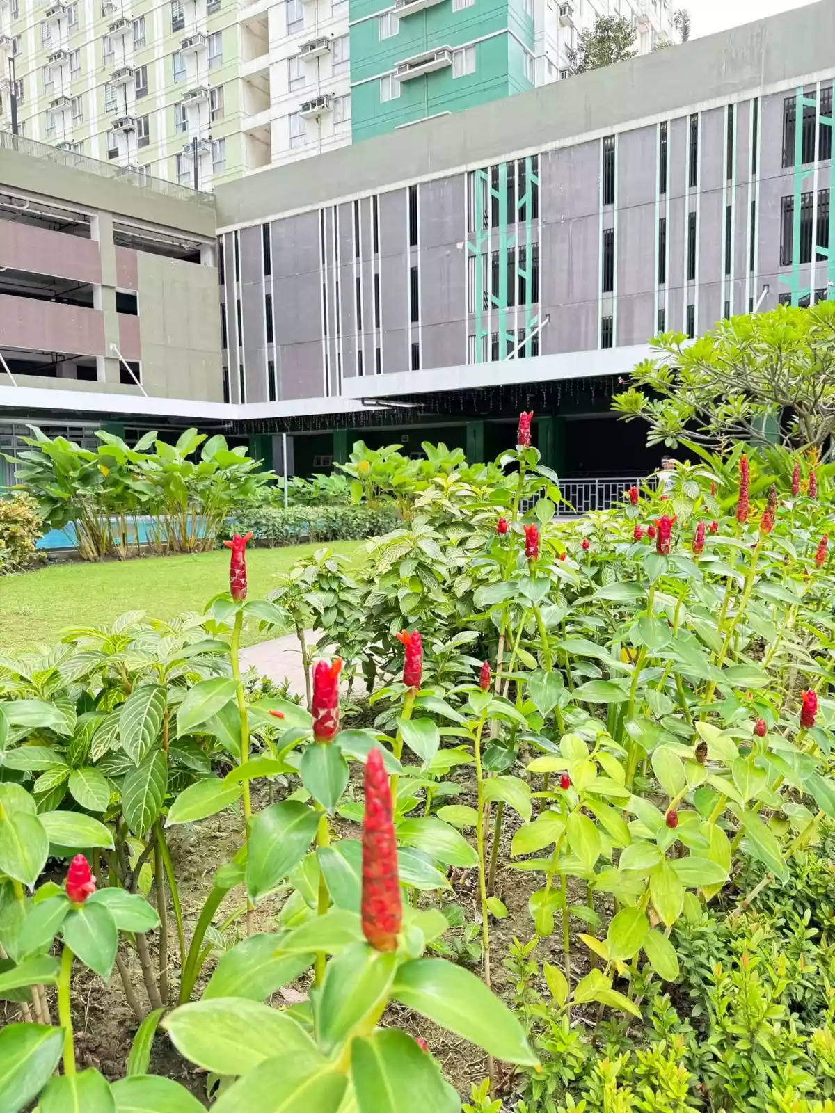 Open photo 13 of 21 — 1 Bedroom for Rent at AVIDA (corner unit)