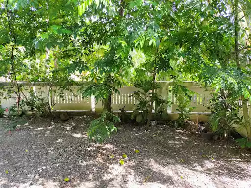 Open photo 16 of 37 — Residential lot