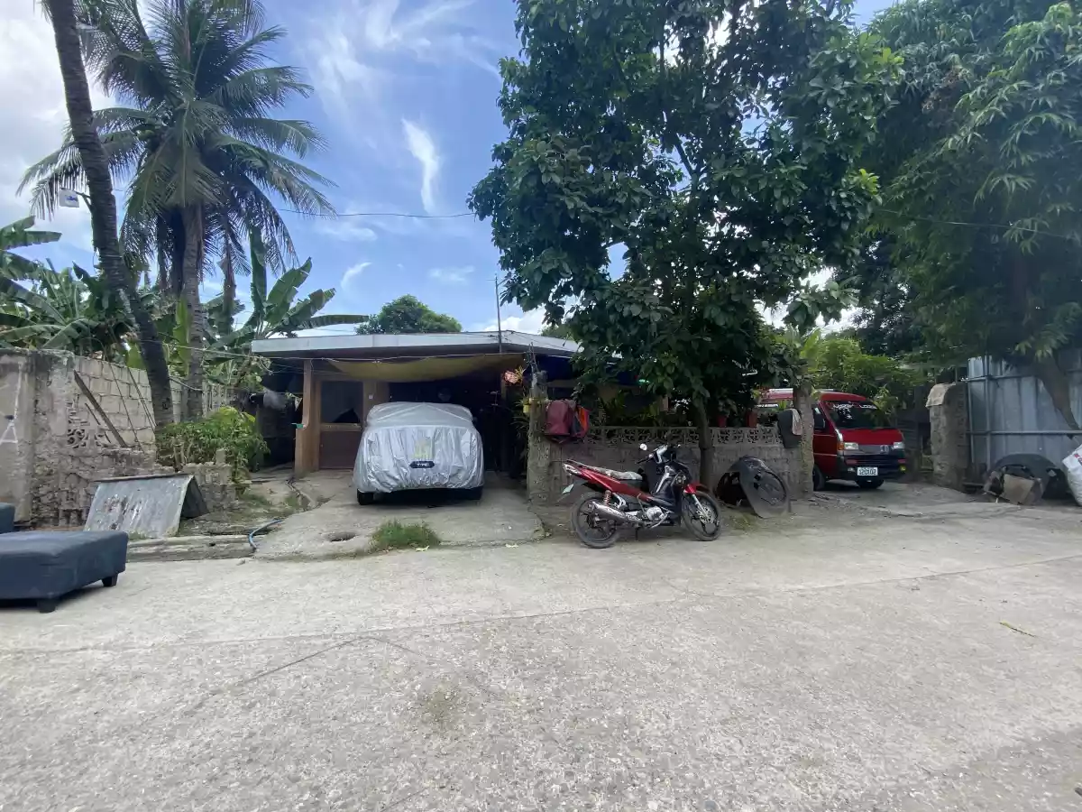 Lot with Duplex Apartment - photo 2