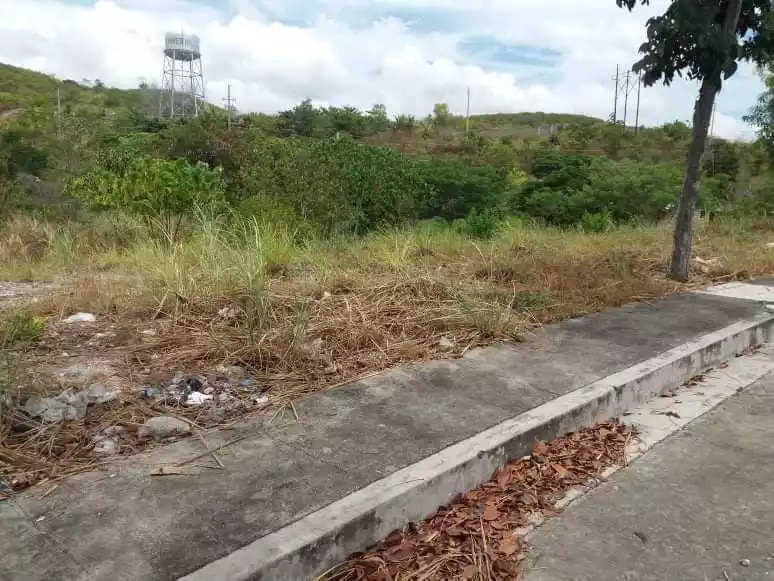 Titled lot for Sale - photo 6