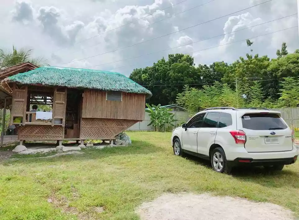 LOT FOR SALE IN SAN FERNANDO CEBU - photo 3