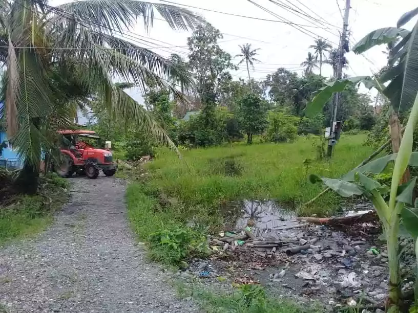 5.5has Naujan Orr Mindoro - photo 5