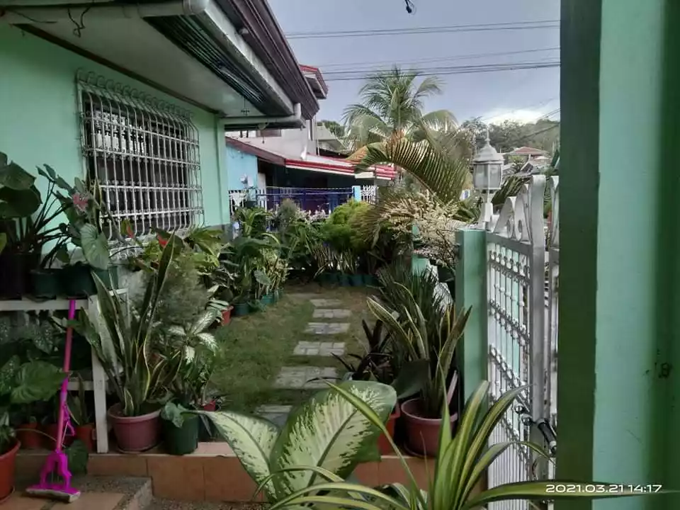 Open photo 23 of 25 — cesar peralta