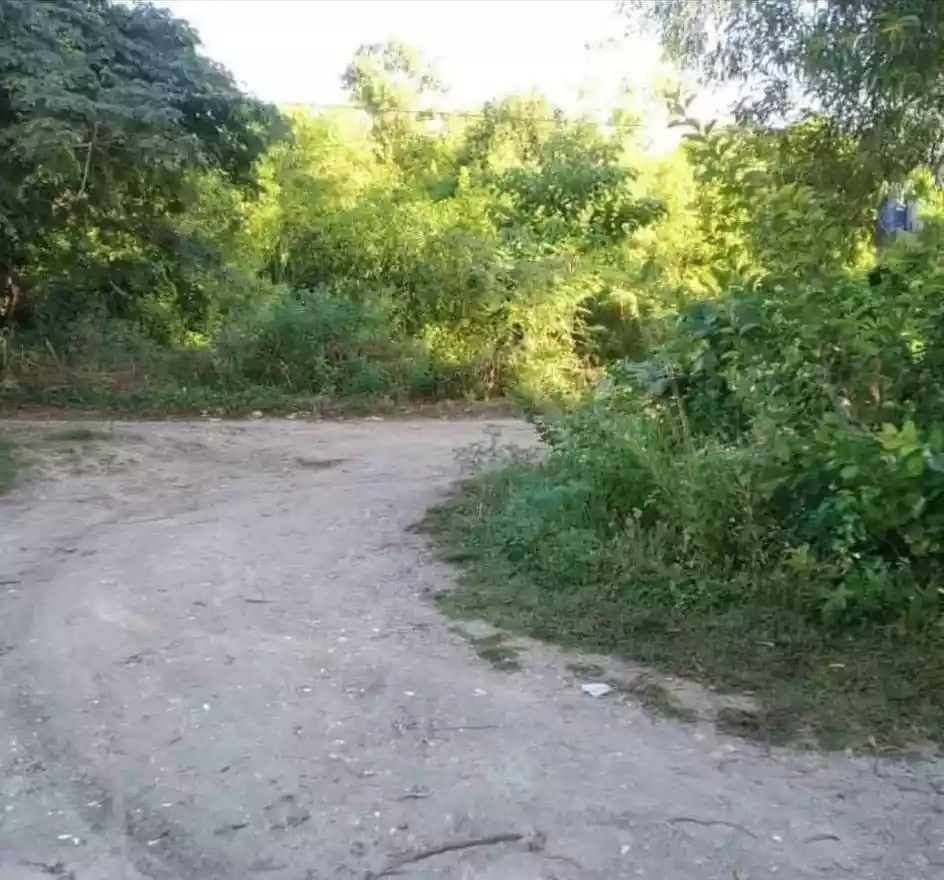 Beach Lot in Panglao Bohol — Beach Lot in Biking, Dauis, Bohol — Photo 4