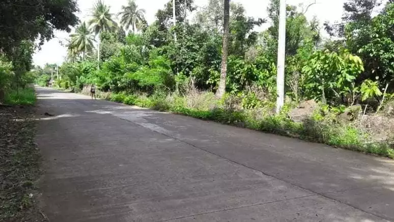 ALONG THE ROAD LOT FOR SALE - photo 3