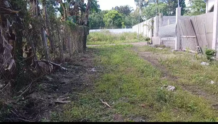 Affordable Lot in Polomolok - photo 2