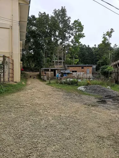 Farmlot for Sale - Carcar 400/sq.m — Agricultural Lot in Carcar City, Cebu, Philippines — Photo 6