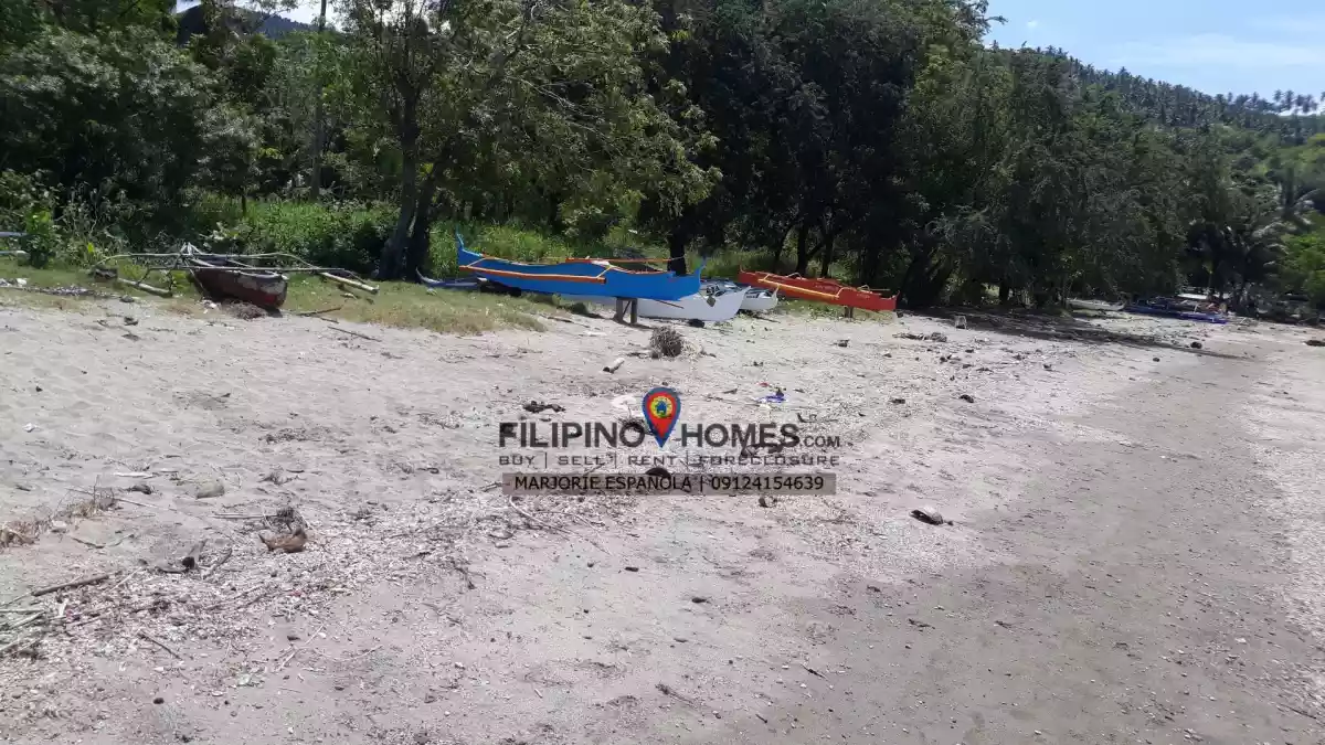 Beach Lot For Sale — Beach Lot in Sarangani - Davao del Sur Coastal Road, Glan, Sarangani — Photo 4