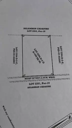 Commercial Lot For Sale in Balamban — Commercial Lot in Balamban, Cebu, Philippines — Photo 5