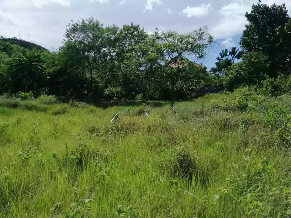 Affordable Lot in Tagbilaran City for Sale! — Residential Lot in Tagbilaran City, Bohol, Philippines — Photo 2