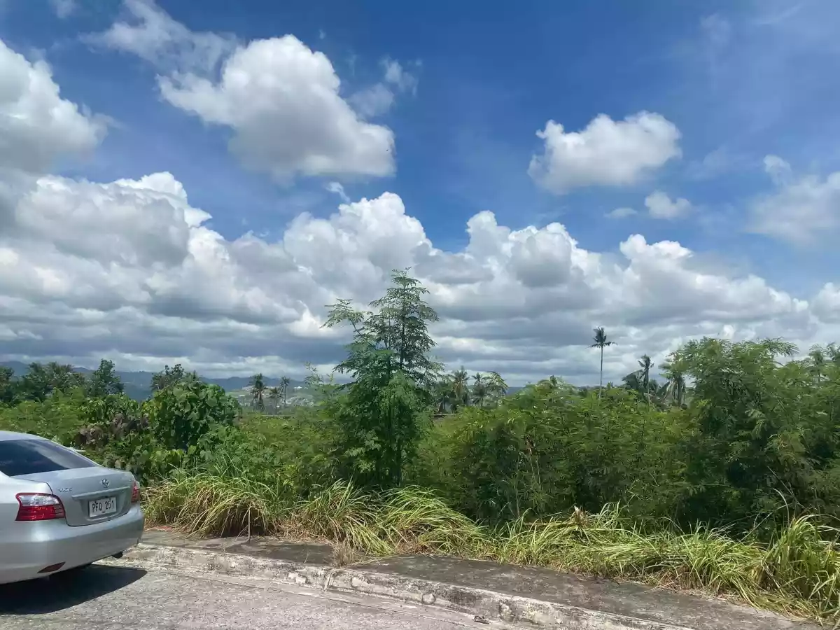 LOT FOR SALE in Corona Del Mar Subd. Talisay City — Residential Lot in Pooc, Talisay, Cebu — Photo 7