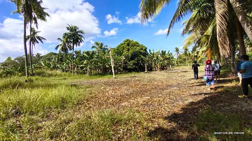 Tiltled Lot (No.0-25563) — Residential Lot in Moalboal, Cebu, Philippines — Photo 3
