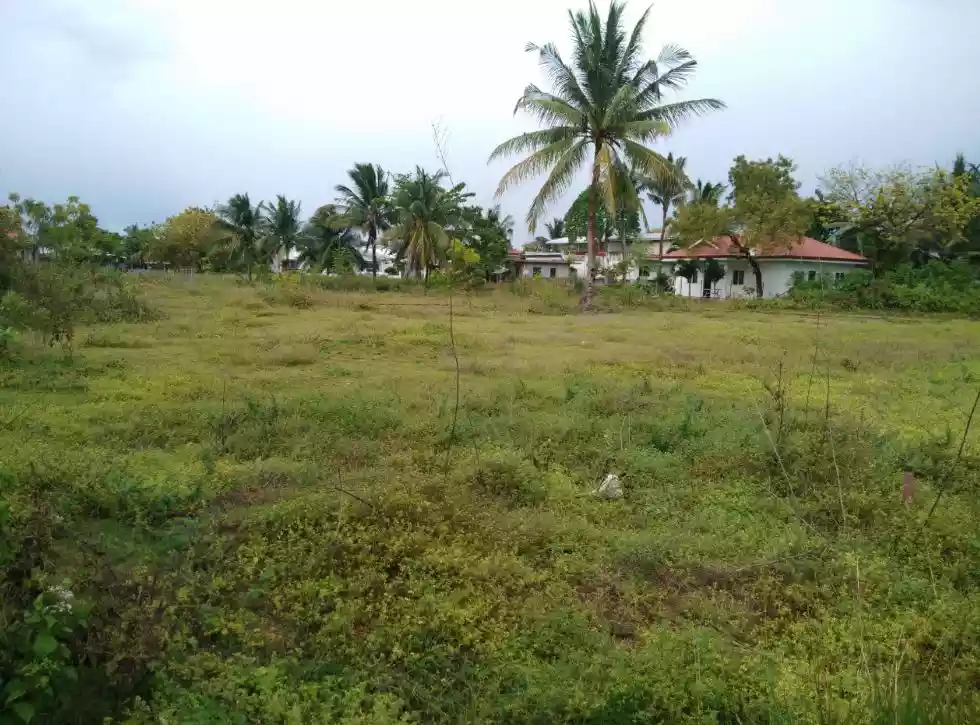 Lot only in Sta Fe Bantayan Island For Sale — Residential Lot in Santa Fe, Cebu, Philippines — Photo 6