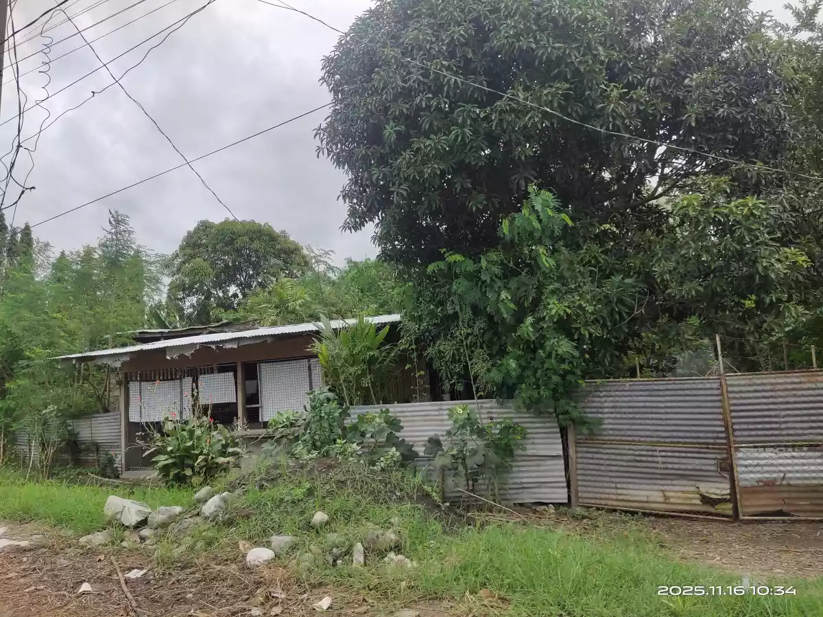 Commercial Lot for Sale - photo 6