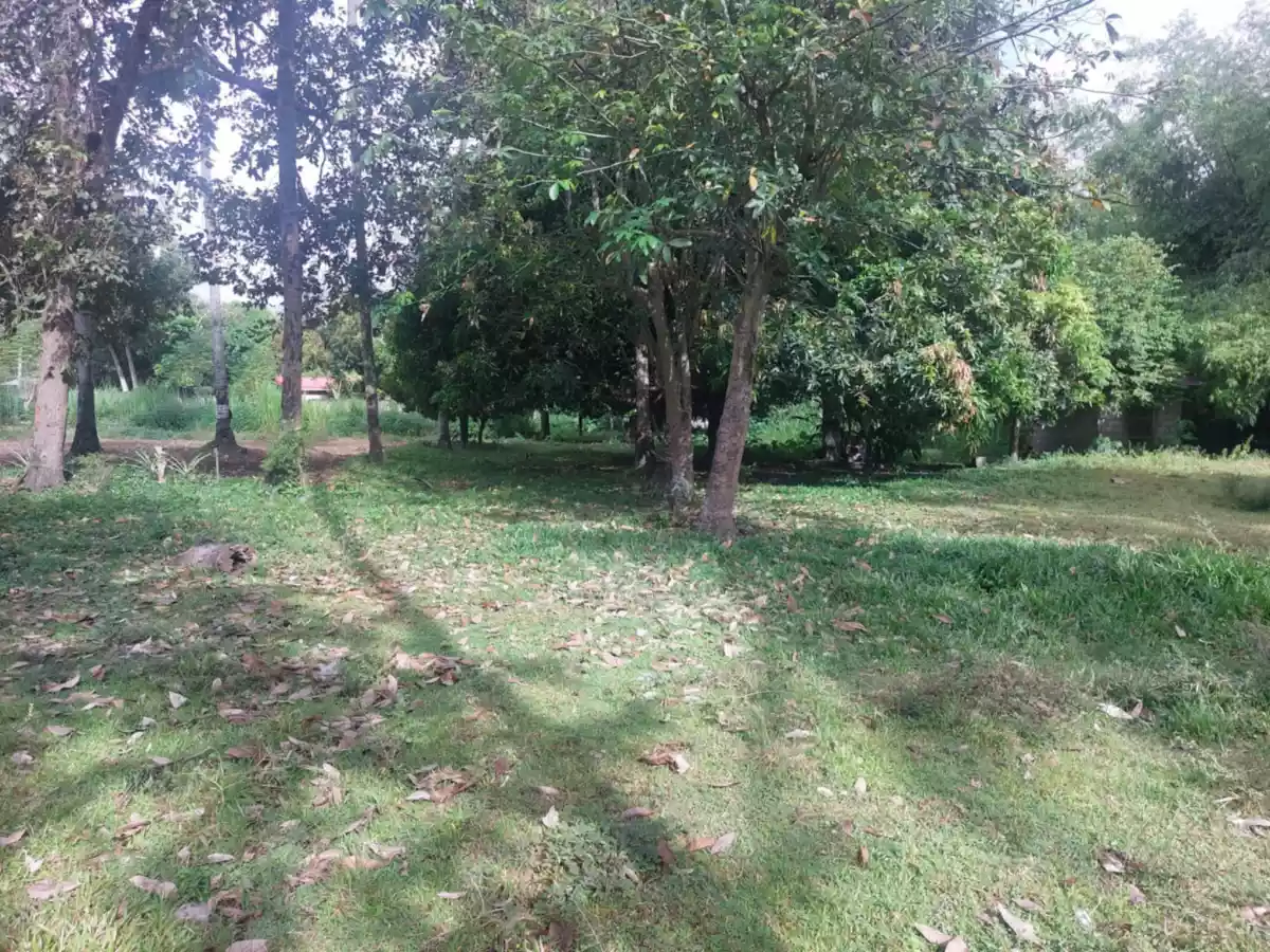 Open photo 22 of 26 — Farm Lot Convertible to Residential