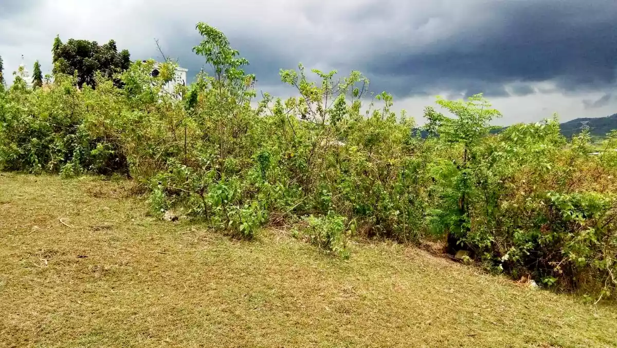Lot for sale - photo 7