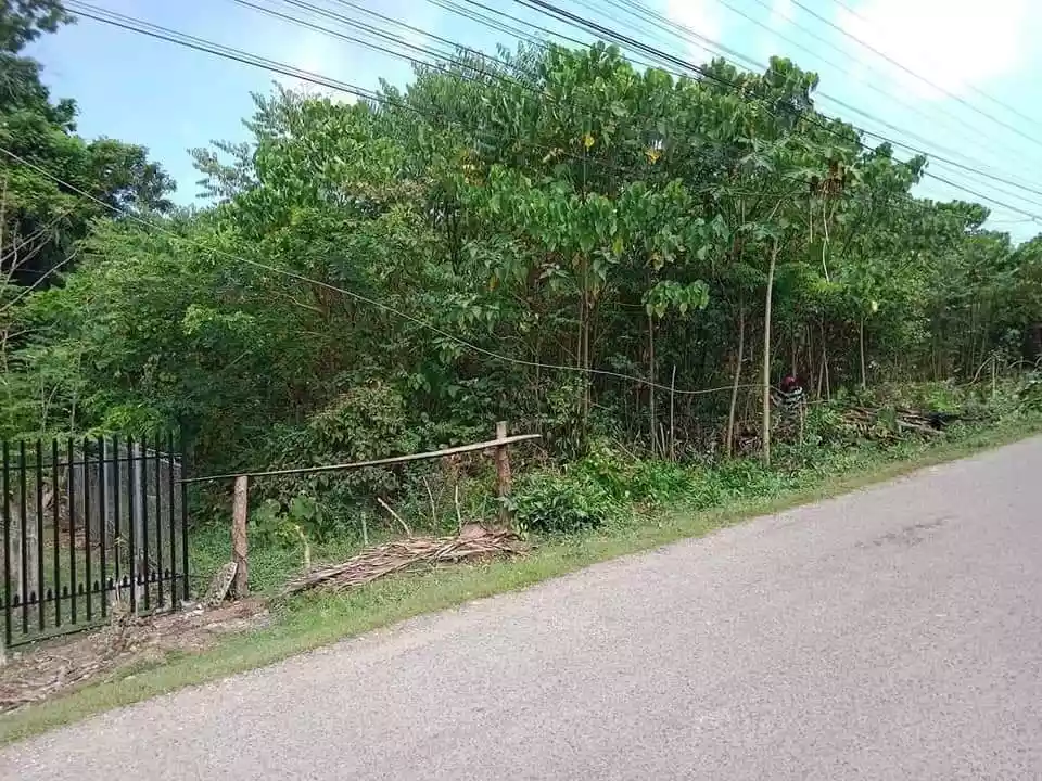 Lot along the Road — Residential Lot in Dauis, Bohol, Philippines — Photo 4