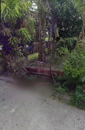 Rush for Sale Lot only at Villa Estefania Fortune Town Bacolod City — Residential Lot in Cebu City, 6000 Cebu, Philippines — Photo 5