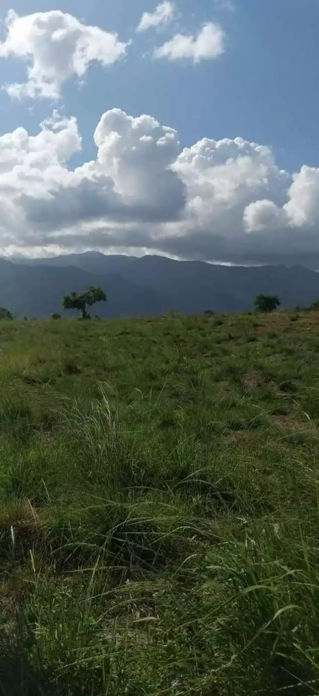 RUSH SALE NICE LOCATION 5.8 HECTARE LAND CLEAN TITLED CAN BE SUBDIVIDED IN NARRA PALAWAN PERFECT FOR RESORT/FARM/RESIDENTIAL USE! - photo 4