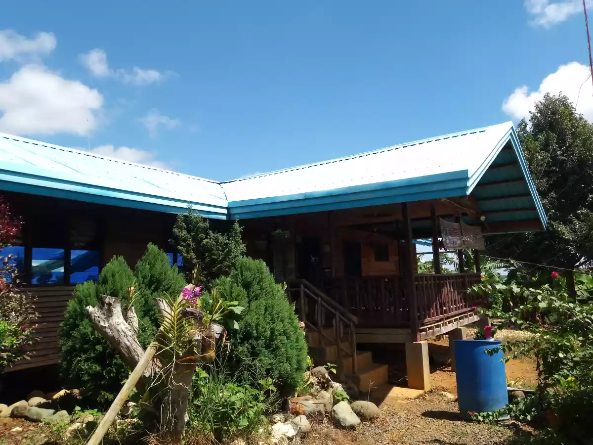 BANANA PLANTATION