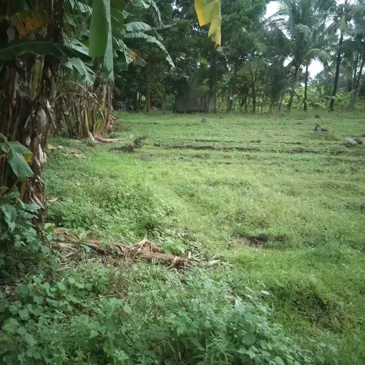6000 sqm. lot isugan bacong - photo 3