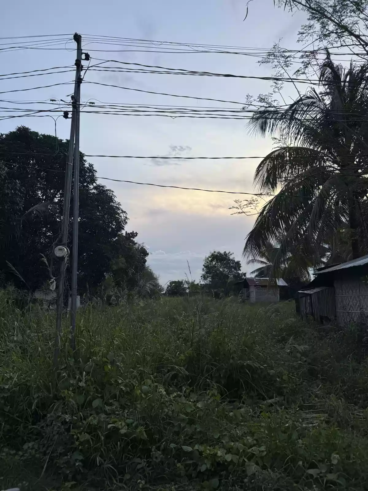 Residential lot near Yolachs - photo 2