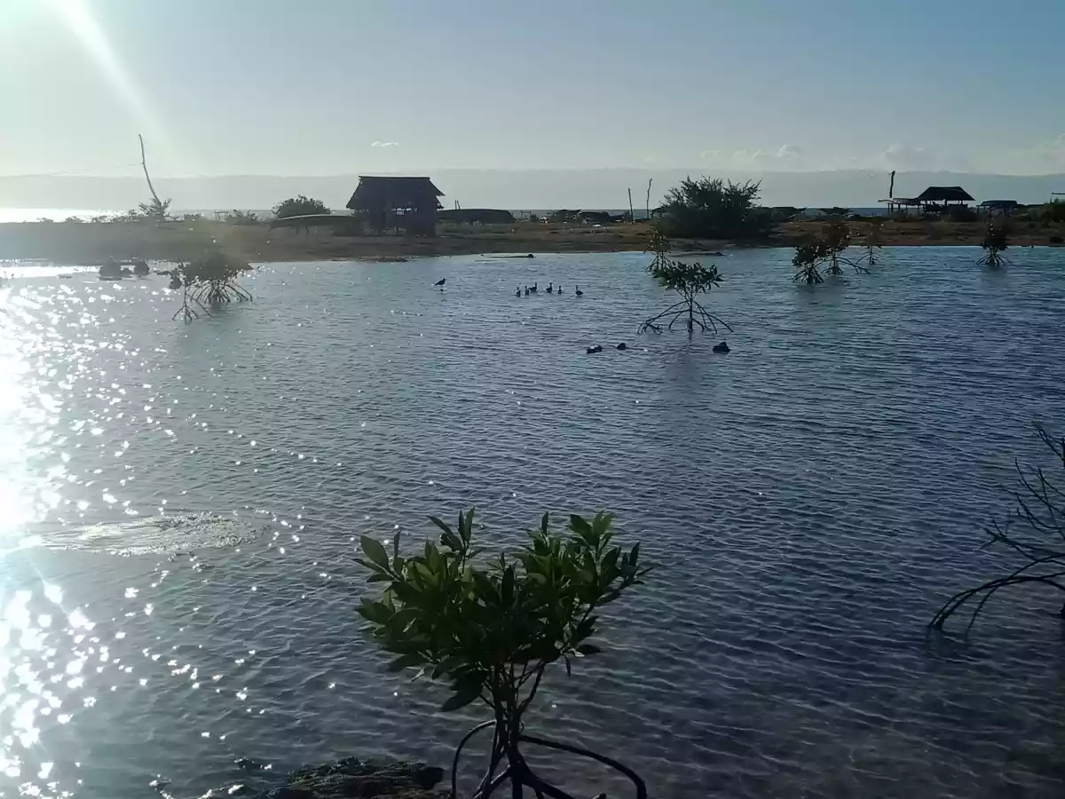 Bohol Beach Lot for sale - photo 4