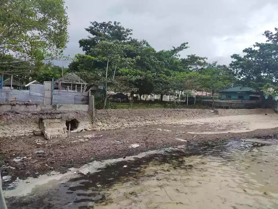 390sqm beachfront clean title lot with white sand for sale in Poblacion Baclayon Bohol - photo 3